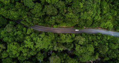 Gökyüzü manzaralı asfalt yol ve yeşil orman, ormandan geçen orman yolu yukarıdan araba macerası manzaralı, ekosistem ve ekolojik sağlıklı çevre kavramları ve arka plan.