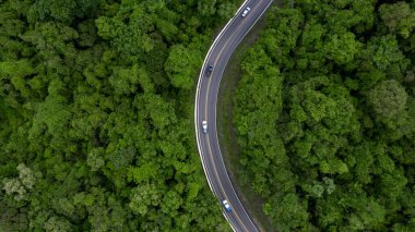 Ormandan geçen hava manzaralı yol, yeşil ormandan geçen yol, ormandaki gökyüzü manzaralı araba, yukarıdan orman manzaralı doku, ekosistem ve sağlıklı çevre kavramları ve arka plan..