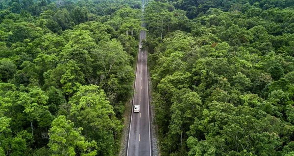 Aerial View Asphalt Road Green Forest Forest Road Going Forest — Stock Photo, Image