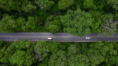 Ormandan geçen hava manzaralı yol, yeşil ormandan geçen yol, ormandaki gökyüzü manzaralı araba, yukarıdan orman manzaralı doku, ekosistem ve sağlıklı çevre kavramları ve arka plan..