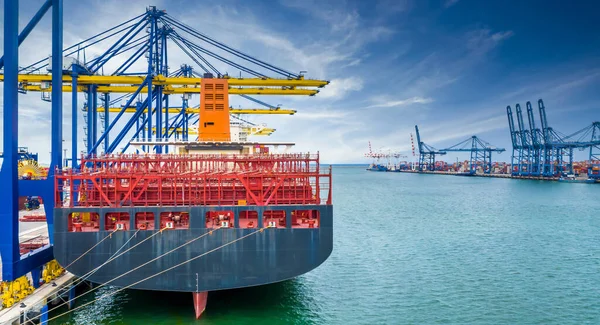 Cargo Operation Cranes Stopped Effect Covid Pandemic World Economic Crisis — Stock Photo, Image