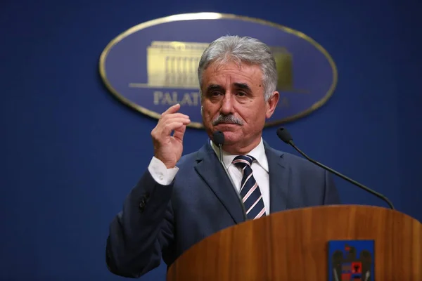 Ministro rumano de Hacienda Pública, Viorel STEFAN — Foto de Stock