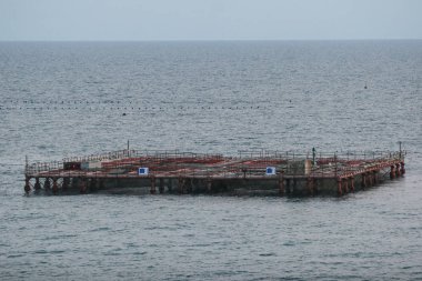  Yüzen balık tutma platformu