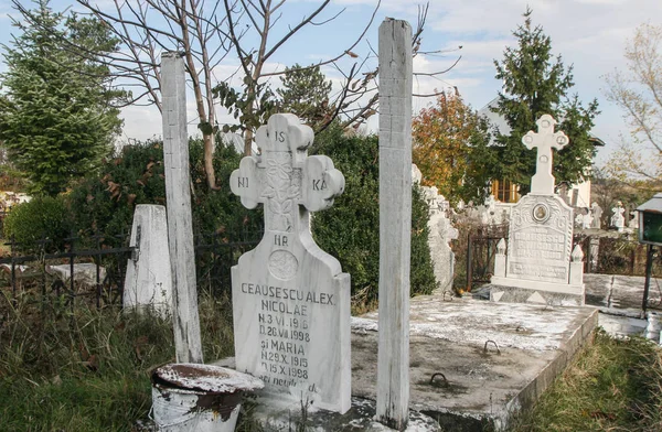 Scornicesti Rumänien November 2009 Begravningen Förlägger Familjen Den Tidigare Diktatorn — Stockfoto