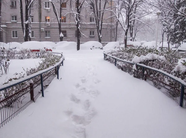 Pegadas na neve — Fotografia de Stock