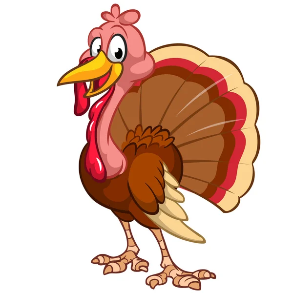 Smiling turkey. Thanksgiving illustration of cartoon turkey isolated on white background — Stock Vector