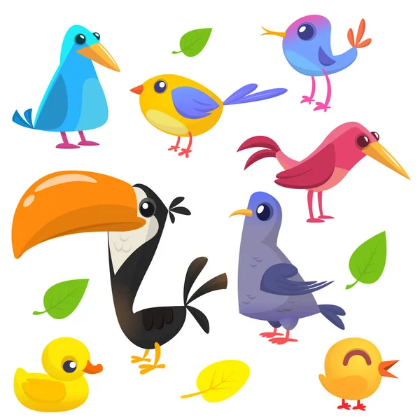 Linda colección de aves de dibujos animados. Conjunto de dibujos animados de aves de colores. Ilustración vectorial — Vector de stock