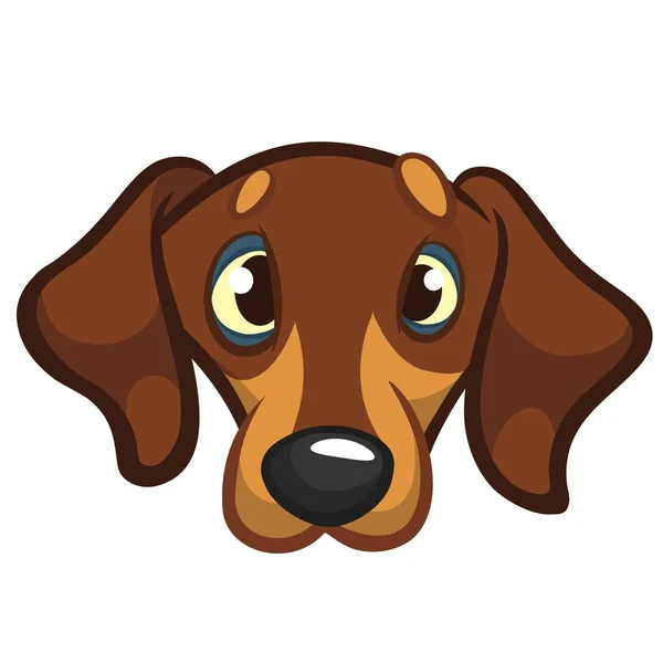 Ilustracja kreskówka wektor ładny rasowe jamnik pies. Pies głowa ikona. Na białym tle — Wektor stockowy