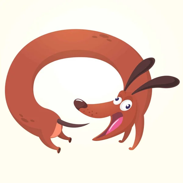 Cartoon Vector Illustration of Cute Purebred Dachshund. Dog running for his tail image. Design for icon or sticker — Stock Vector