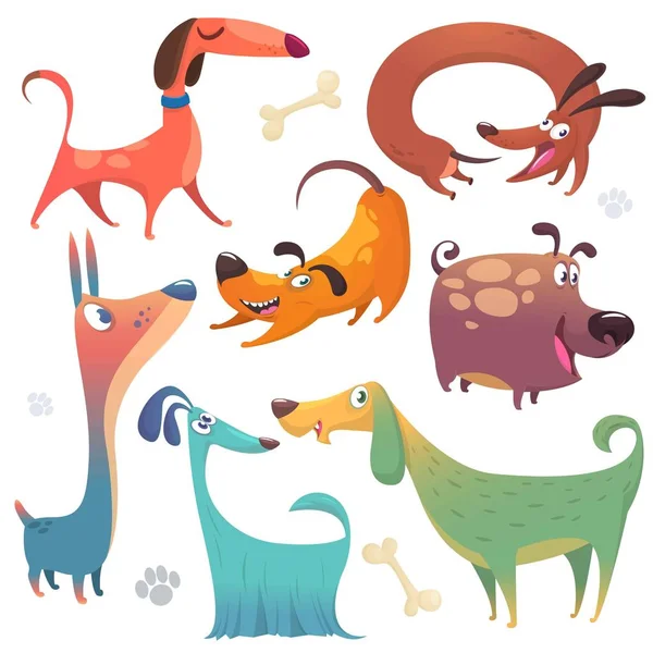 Juego de perros de dibujos animados. Ilustraciones vectoriales de iconos de perros. Retriever, dachshund, terrier, pitbull, spaniel, bulldog, basset hound, afghan hound, borzoi — Vector de stock