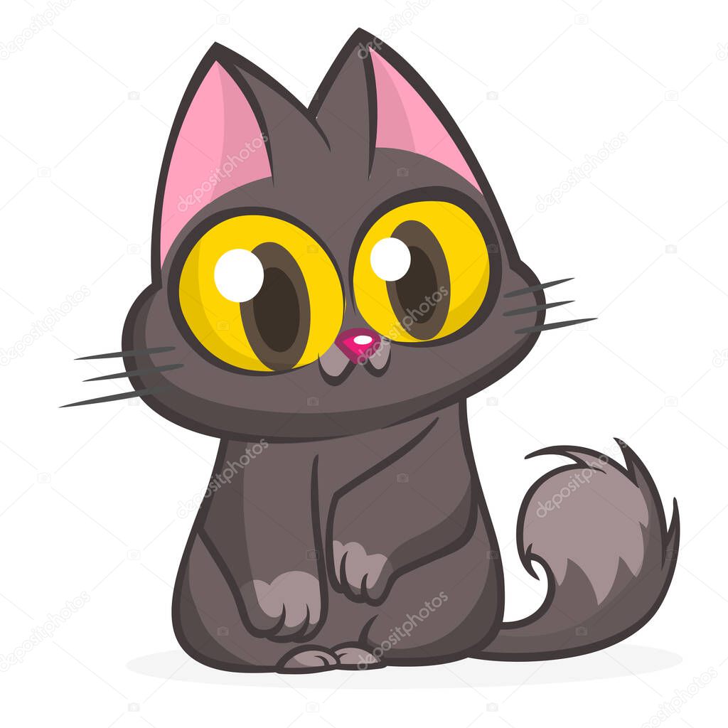 Cartoon witch black cat illustration. Vector isolated. Halloween design