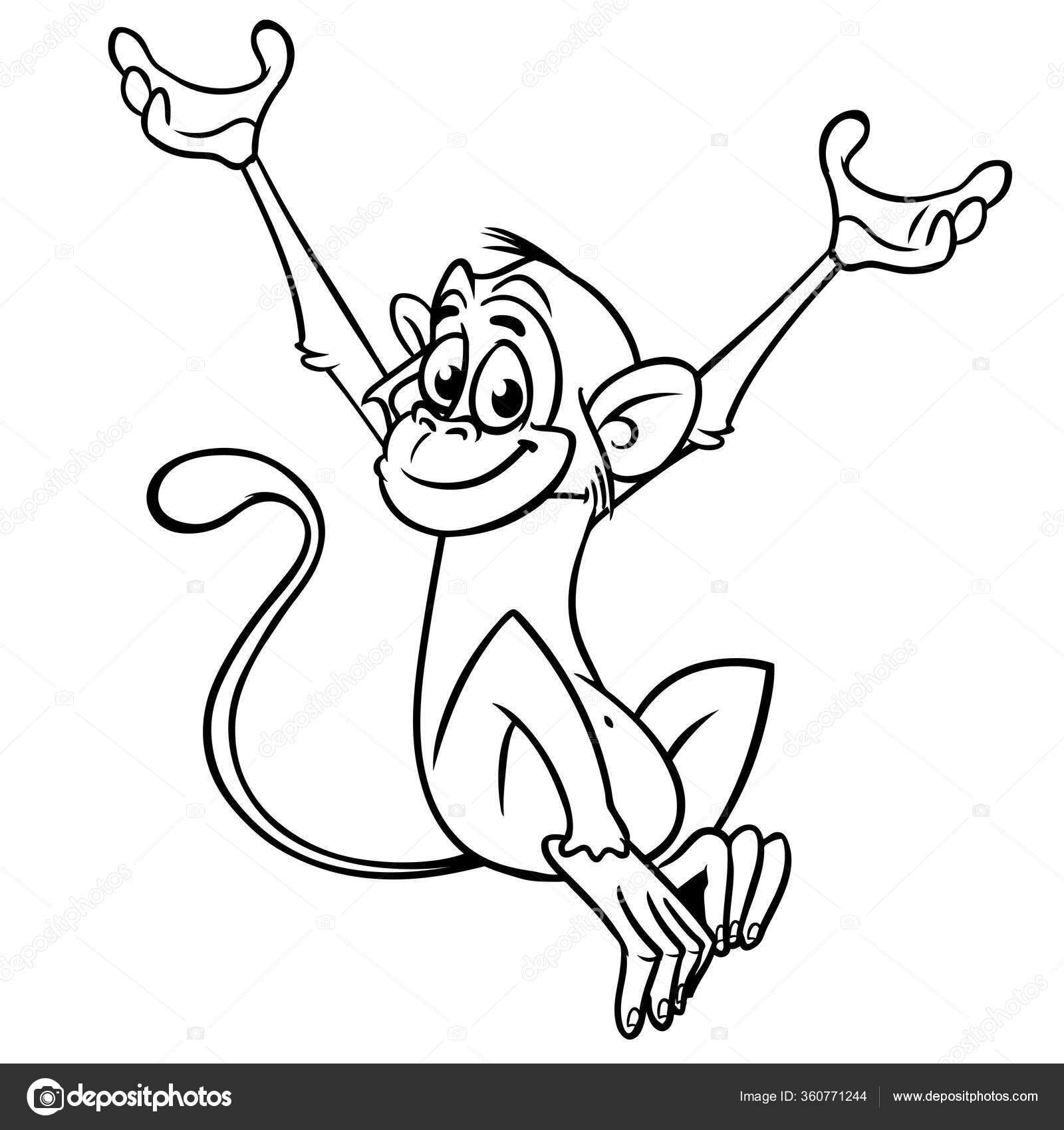 Macaco Clipart Preto E Branco Cartão De Coloração Desenho Lineart Preto E  Branco Bonito Do Macaco