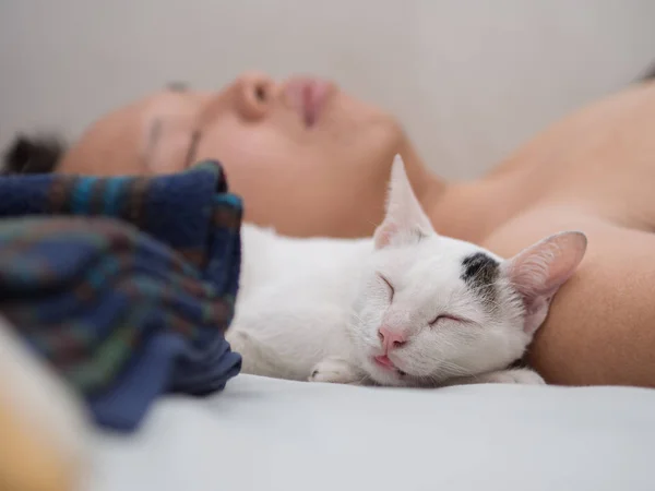Γάτα ύπνου με τον ιδιοκτήτη του — Φωτογραφία Αρχείου