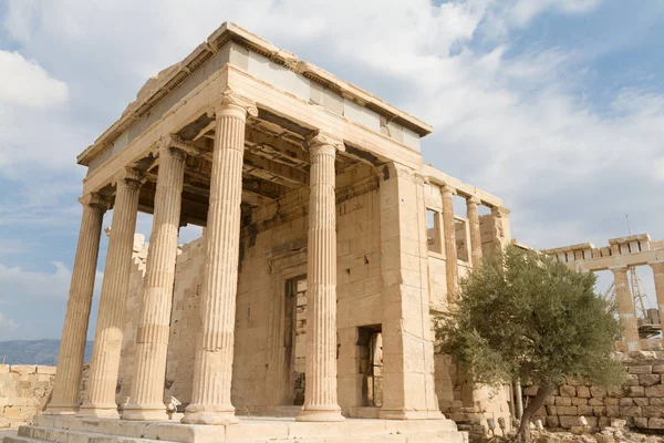 Templo e oliveira na Acrópole de Atenas, Grécia — Fotografia de Stock