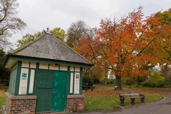 Дом и деревья в Отумне в Leases Park, Ньюкасл, Англия — стоковое фото