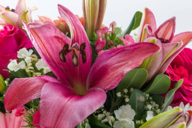 Mor Lilly yakın çekim bir çiçek buketi