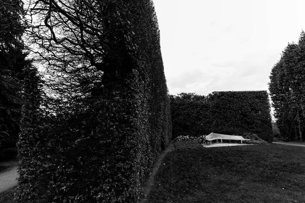Tezgah ve bush çit, Kraliyet Botanik Bahçesi, Edinburgh, İskoçya- — Stok fotoğraf