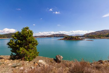 Çam ağacı karşı Aoos yapay göl Epirus, Yunanistan