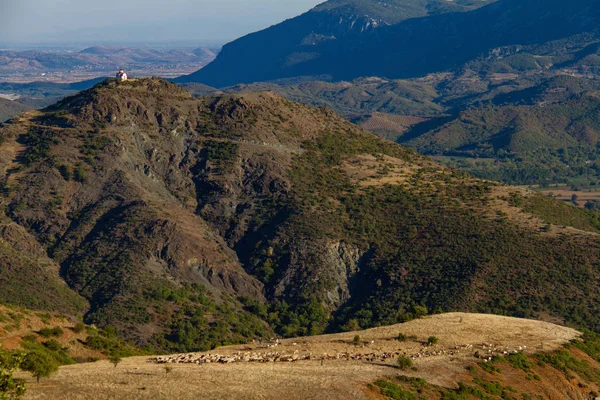 Eglise et bergers pâturant des moutons sur le plateau, Thessalie, Grèce — Photo