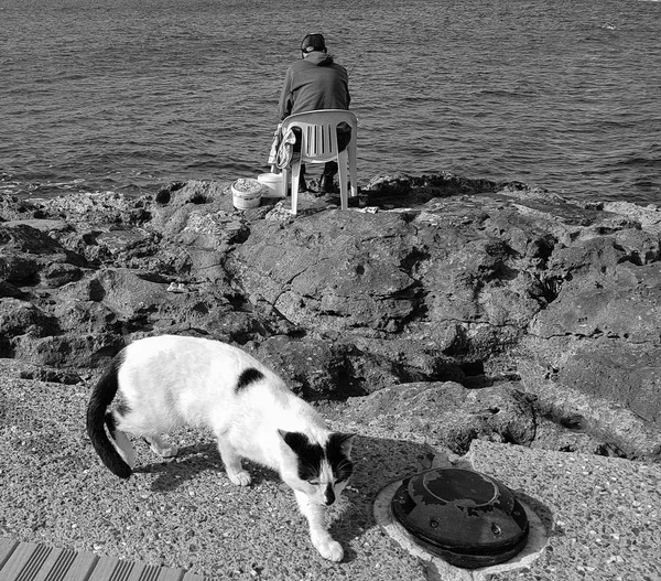 Gato e pescador na praia rochosa de Paphos em monocromático — Fotografia de Stock