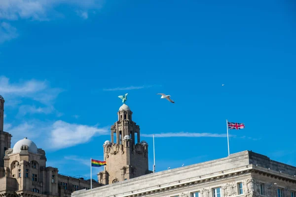 Une mouette survole le front de mer de Liverpool par un bel après-midi d'été . — Photo