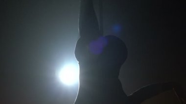 Hava acrobat kadın sirk sahnede. Siluet