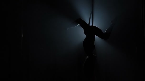 Aerial acrobat woman on circus stage. Silhouette — Stockvideo