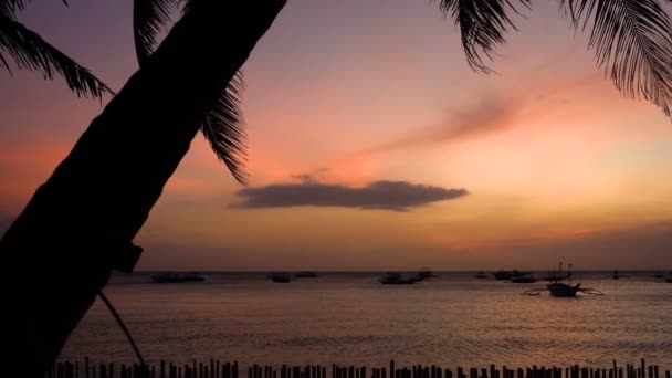 Ηλιοβασίλεμα στην παραλία με φοίνικες και βάρκες. — Αρχείο Βίντεο