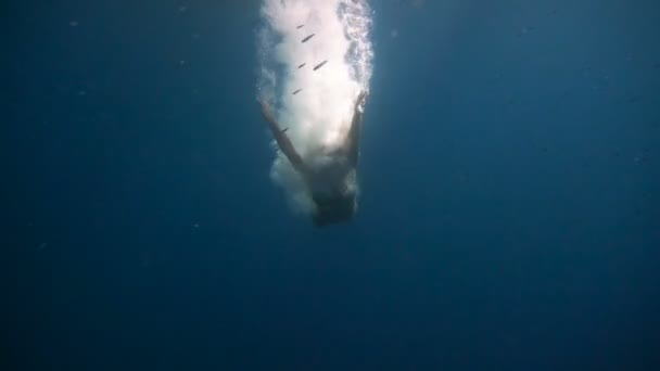Gadis muda dan cantik merunduk di bawah air dan indah jatuh ke bawah di antara gelembung dan perahu di latar belakang — Stok Video