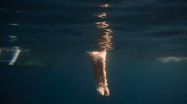 Genç ve güzel kız su altında ıslanma ve güzel bubbles ve deniz araçları arasında alt arka plan üzerine düşüyor