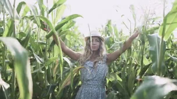 Belle fille dans chapeau courir et sourire dans le champ de maïs au ralenti — Video