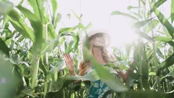 Mooi meisje in hoed uitgevoerd en lachend in maïs veld slow motion — Stockvideo