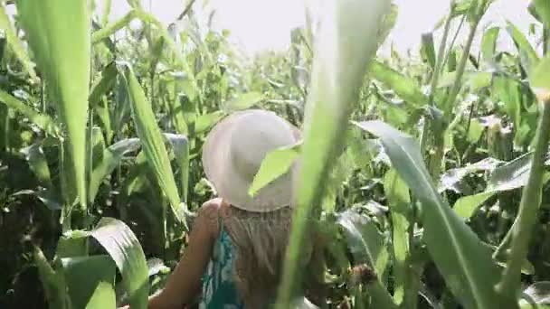 Bella ragazza in cappello correre e sorridere nel campo di mais rallentatore — Video Stock