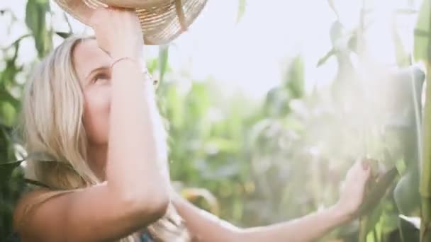 Beautiful girl wearing hat and smiling running in a corn field slow motion — Stock Video