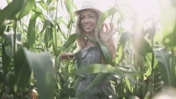 Vacker flicka i hatt kör och leende i majs fältet slow motion — Stockvideo