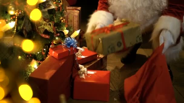 Jultomten att sätta gåvor under granen — Stockvideo