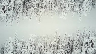 kar 2 dünyalar kadar ormanda. Ekran koruyucu Finlandiya resim yazıları için.