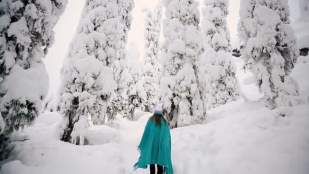 Kız bir ekose güzel kış ormanda yürüyorduk. — Stok video