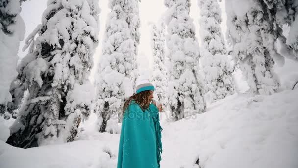 Κορίτσι με ένα όμορφο, χιονισμένο δάσος pbeg του καφέ σε ένα καρό. — Αρχείο Βίντεο