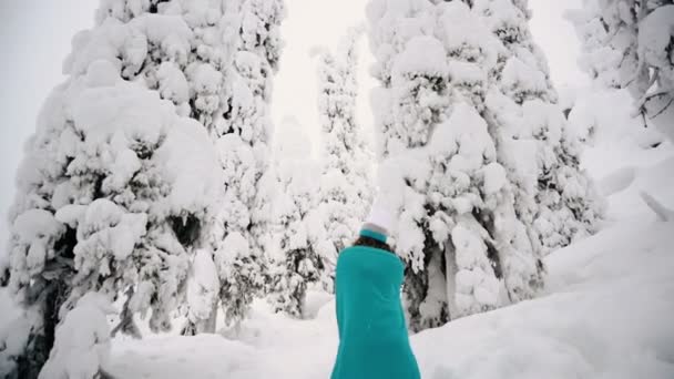 A menina está andando ao longo da bela floresta de inverno em uma planície . — Vídeo de Stock