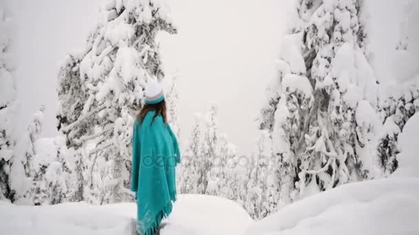 Το κορίτσι είναι το περπάτημα κατά μήκος του δάσους όμορφο χειμώνα σε ένα καρό. — Αρχείο Βίντεο