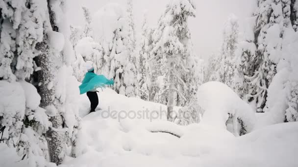 Дівчина йде вздовж прекрасного зимового лісу в плед . — стокове відео