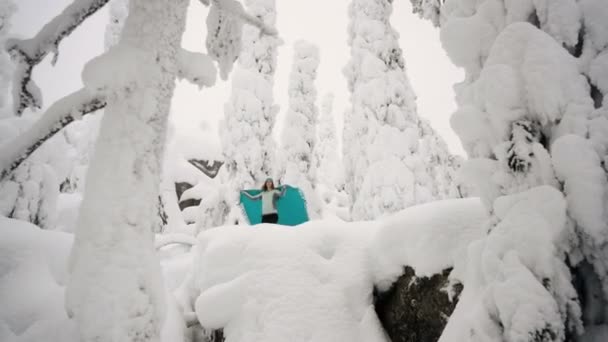 A lány séta a gyönyörű téli erdő egy kockás. — Stock videók