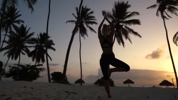 Chica estirando yoga por la mañana en las palmeras al amanecer — Vídeo de stock