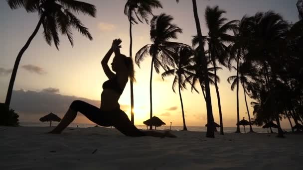 Chica estirando yoga por la mañana en las palmeras al amanecer — Vídeo de stock