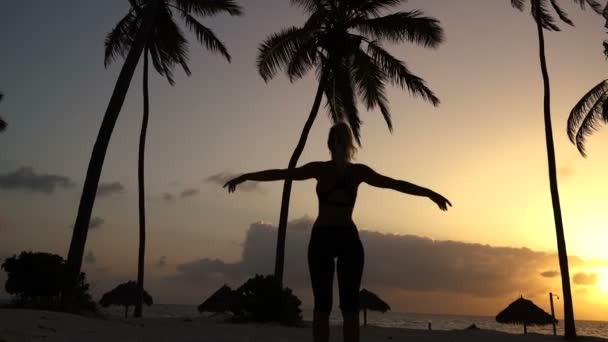 Chica estirando yoga por la mañana en las palmeras al amanecer — Vídeos de Stock