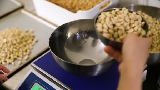 Процес переробки арахісу, виробничий процес смажених арахісів . — стокове відео