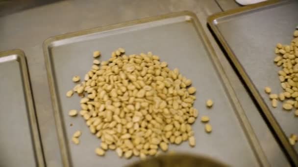 Proceso de procesamiento de cacahuetes, proceso de producción de cacahuetes tostados . — Vídeo de stock