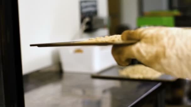 Proces zpracování, výrobní proces pražené oříšky arašídové. — Stock video