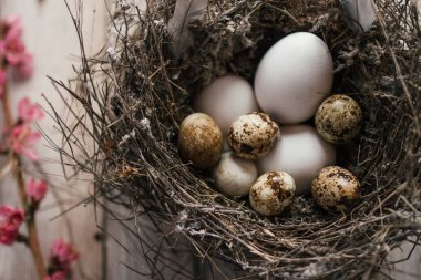 Bıldırcın yumurtası ve ahşap arka plan üzerinde çiçeği